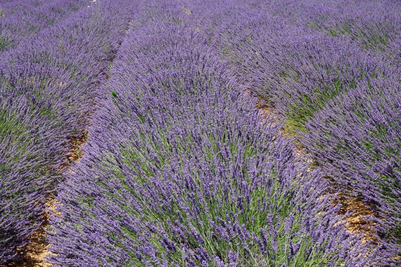 Appartement T2 Cosy sur Aix Aix-en-Provence Extérieur photo